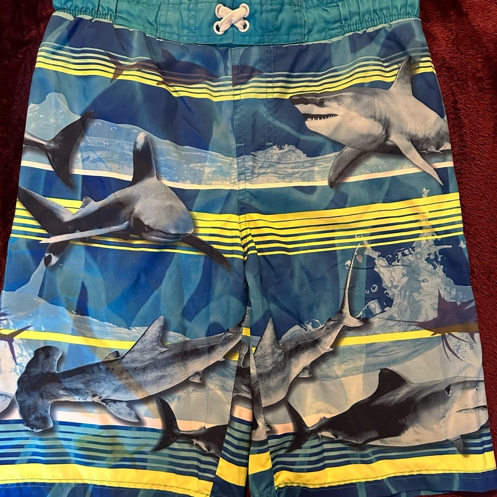 Swim Trunks for Boys